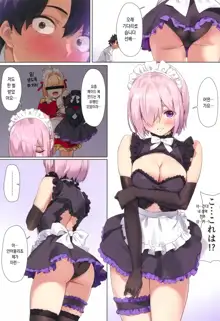 Chaldea Maid #Mash | 칼데아 메이드 #마슈, 한국어