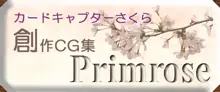 Primrose, 日本語