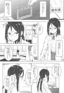 真面目な娘ほど壊れやすい, 日本語