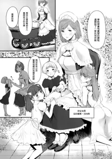 SWAN MAID ACADEMY, 中文