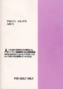 実物提示教育, 日本語