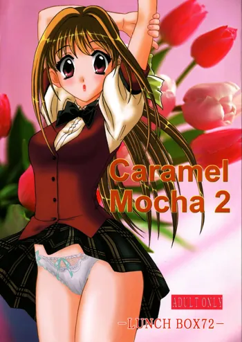 LUNCH BOX 72 - Caramel Mocha 2