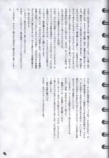 サクラノ詩 −櫻の森の上を舞う− オフィシャルアートワークス, 日本語