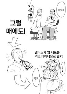 Fushigi na Virus de Minna Alice no Papa to Mama | 이상한 바이러스로 모두 앨리스의 파파와 마마, 한국어