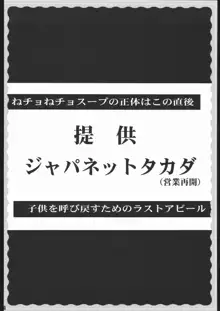 ギャラ虎!, 日本語