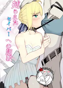 Toraeta Saber e no Choukyou, 中文