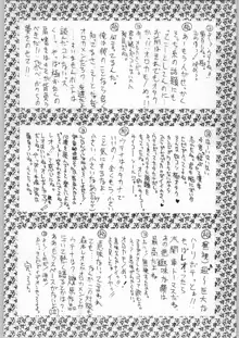 A続革命宣言, 日本語