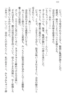 生徒会長・可憐堂れいわがぱんつを見せてくる放課後, 日本語