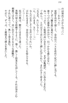 生徒会長・可憐堂れいわがぱんつを見せてくる放課後, 日本語