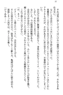 生徒会長・可憐堂れいわがぱんつを見せてくる放課後, 日本語