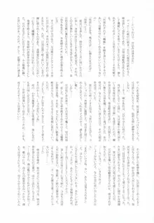 ButterflySeeker RoughBOOK, 日本語