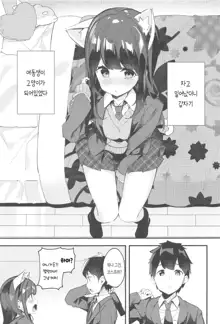 Imouto ga Neko ni Natteimashita. | 여동생이 고양이가 되었습니다., 한국어