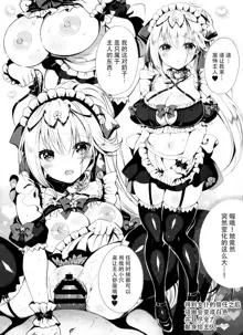 Himekishi o Maid ni Shimasu! Taikenban!, 中文