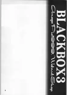 BLACK BOX Third, 日本語