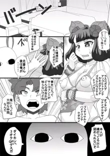 石選少女, 日本語