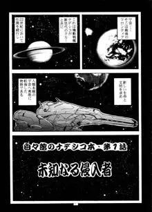 遊撃宇宙戦艦 ナデシコ THE NEXT GENERATION, 日本語