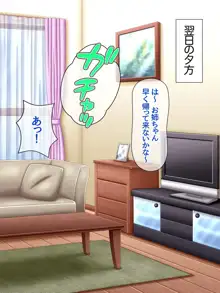 性教育しちゃうぞ♥, 日本語