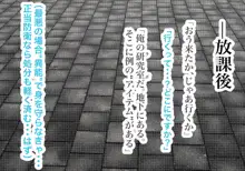 異能学園の強気美少女は学園最下層“人形師“の傀儡として生まれ変わる, 日本語