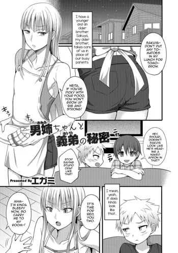 Onee-chan to Otouto no Himitsu, English