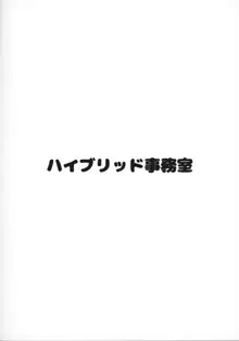 ハイブリッド通信vol.33, 日本語