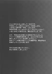 俺の妹が極度のブラコンで困ってしまう件2, 日本語