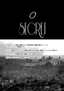 Secret, 日本語