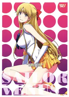 SAILOR VENUS, 中文