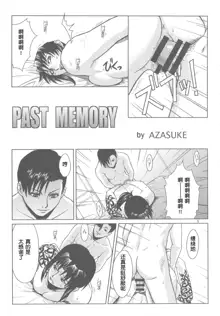 PAST MEMORY, 中文