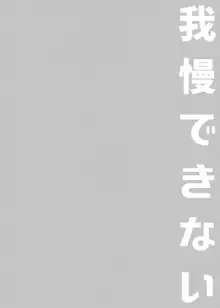 我慢できない, 日本語