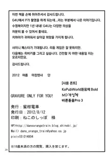 GRAVURE ONLY FOR YOU!, 한국어