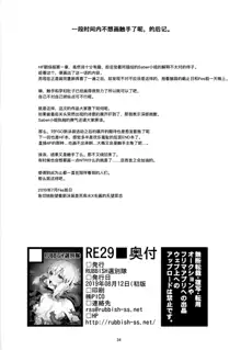 RE29, 中文