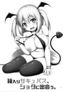 Hakoiri Succubus, Shota ni Deau., 中文