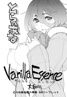 Vanilla Essence | 바닐라 에센스 (decensored), 한국어