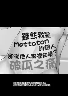 Metaton no Koibito desu ga Haka no Itami wa Tanin de Shirimashita 丨 雖然我是Mettaton的戀人卻從他人那裡知曉了破瓜之痛, 中文