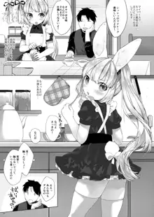 My Little Maid 総集編, 日本語