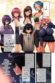 Ane Bitch Harem!, English