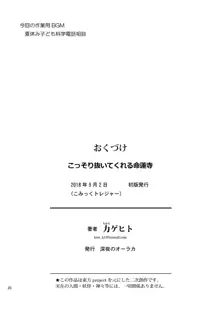 こっそり抜いてくれる命蓮寺, 日本語