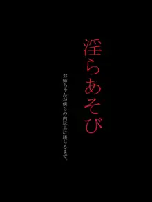 淫らあそび 〜お姉ちゃんが僕達の肉玩具に堕ちるまで〜, 日本語