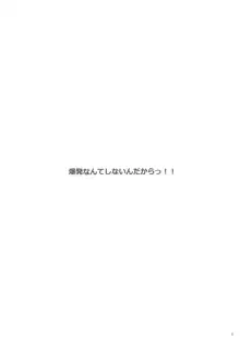 爆発なんてしないんだからっ!!, 日本語