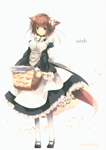 wish, 日本語