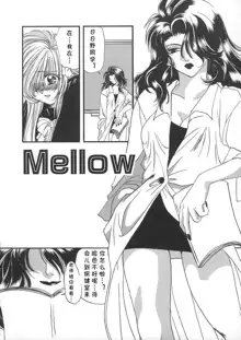 MELLOW, 中文