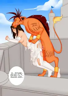 Red XIII's Journey, Français