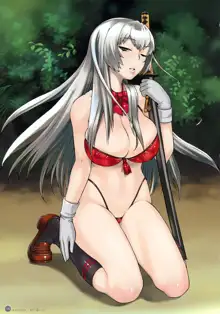 一騎当千 Ikkitousen Dragon Destiny オフィシャルビジュアルファンブック, 日本語