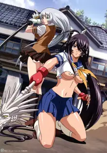 一騎当千 Ikkitousen Dragon Destiny オフィシャルビジュアルファンブック, 日本語