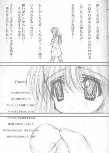 Precious Memory ～一片の奇跡のなかで…～, 日本語