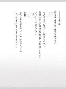 性処理メイドの冥ちゃん, 日本語