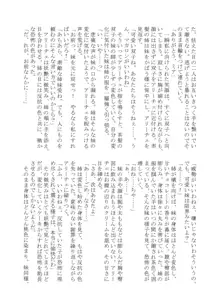 変化系簿-TF Account book- Vol.2, 日本語