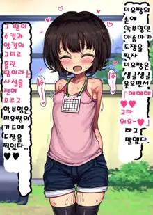 ~Loli Bitch CG Shuu~ Miyu-chan no Natsuyasumi Zenpen, 한국어