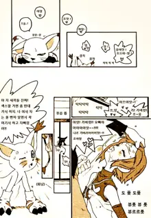 DIGIMON QUEEN 01, 한국어