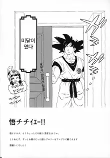 GOKU CHICHI!!! ver. 2 | 공치치!!! ver. 2, 한국어